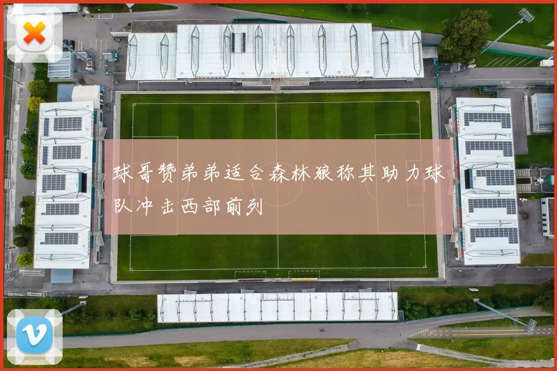 球哥赞弟弟适合森林狼称其助力球队冲击西部前列